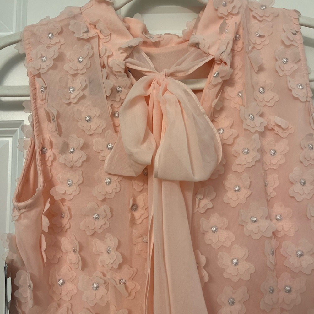 New with Tags Pale Pink Sleeveless Dress - Picture 3 of 7